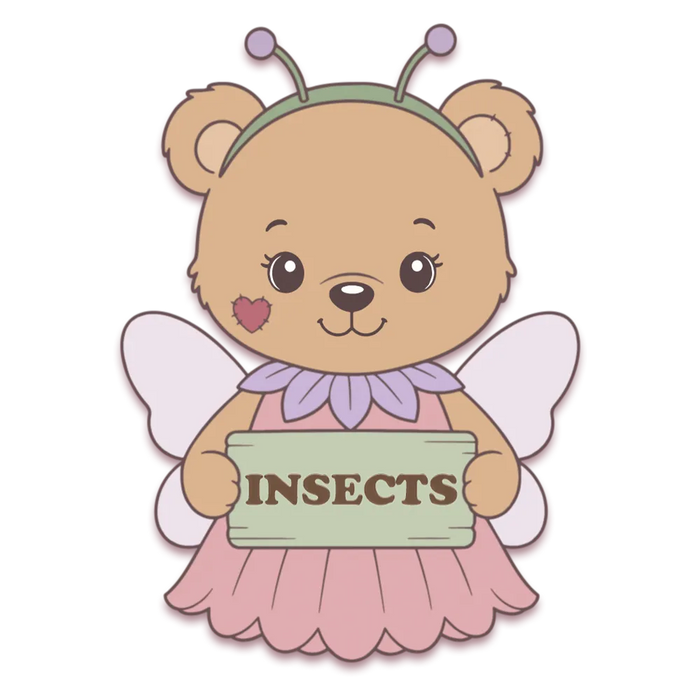 Insects Theme